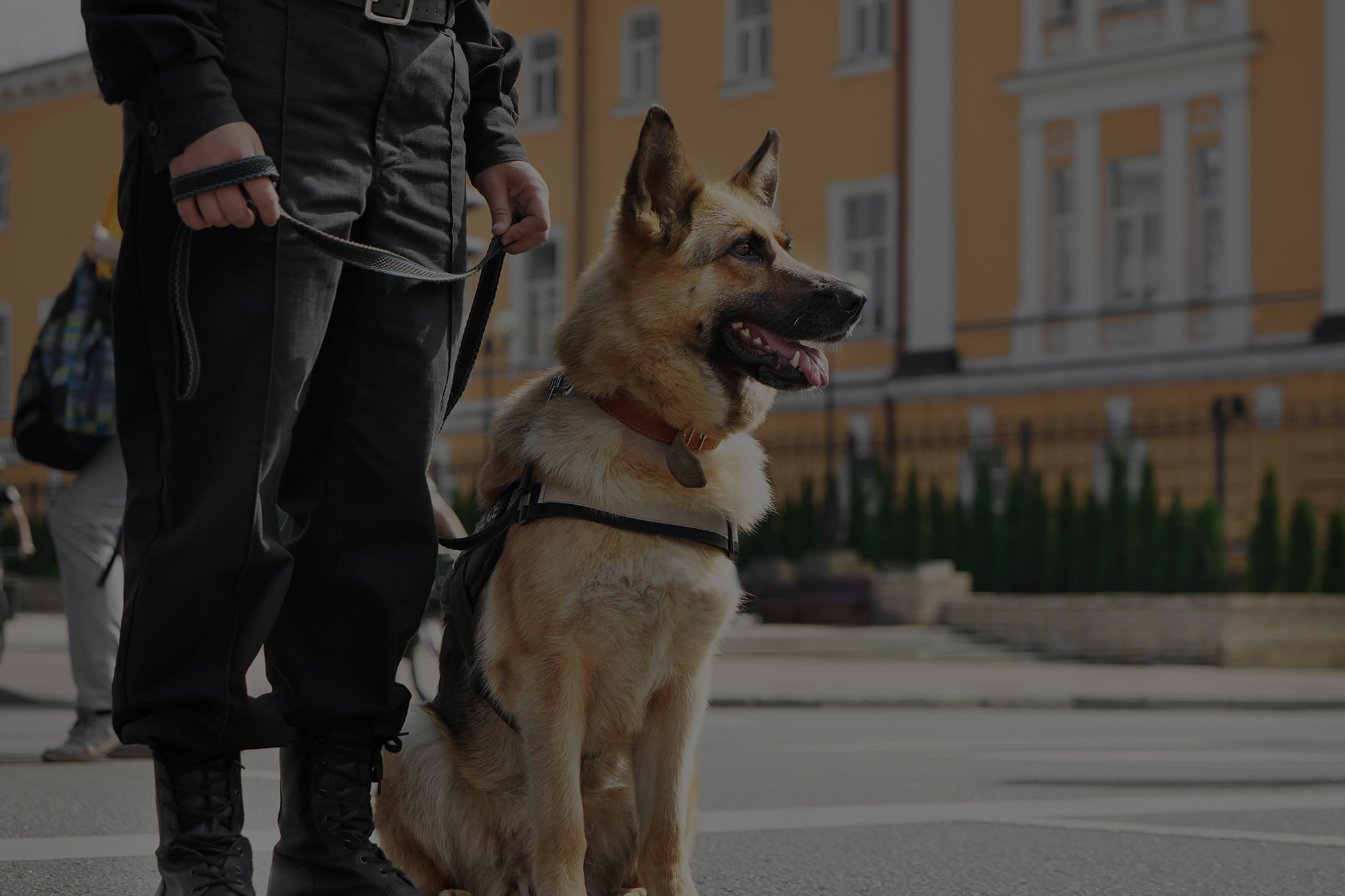 Professional security personnel